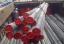 IMG-20120129-00068